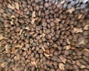 BONZO JUNIOR PER KILO (LOS VERPAKT)