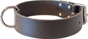 BOON HALSBAND BREED ENKEL D.BRUIN 40 MM/60 CM