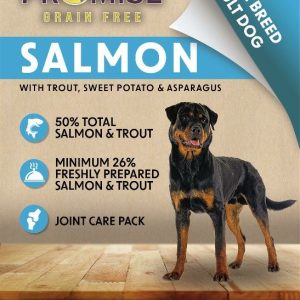 promise grainfree adult large Zalm met Forel, Zoete Aardappel & Asperge 2kg